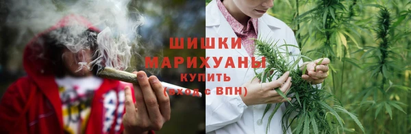 ПСИЛОЦИБИНОВЫЕ ГРИБЫ Богородск