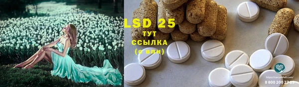 ПСИЛОЦИБИНОВЫЕ ГРИБЫ Богородск