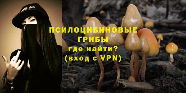 ПСИЛОЦИБИНОВЫЕ ГРИБЫ Богородск
